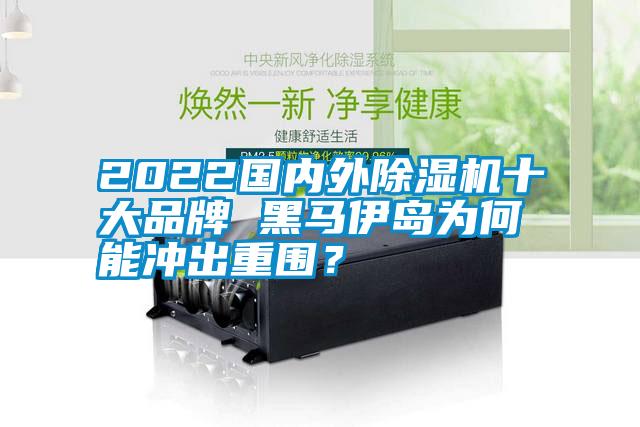 2022國內(nèi)外除濕機(jī)十大品牌 黑馬伊島為何能沖出重圍？