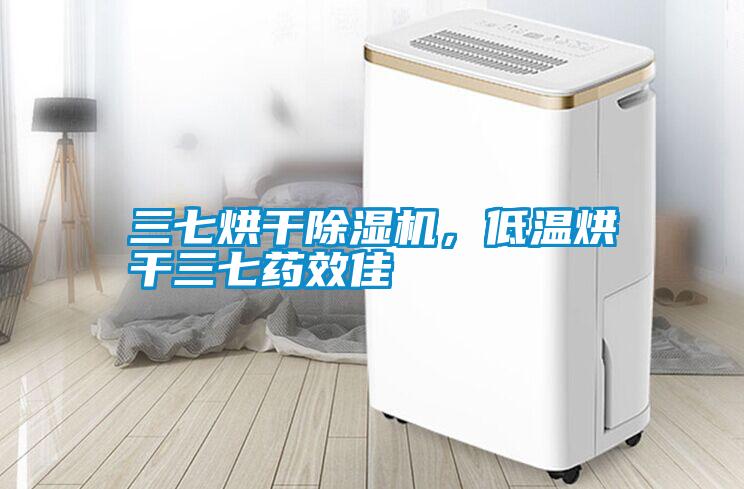 三七烘干除濕機，低溫烘干三七藥效佳