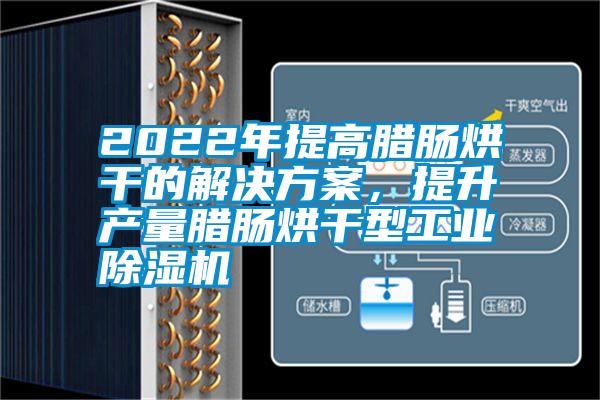 2022年提高臘腸烘干的解決方案，提升產量臘腸烘干型工業除濕機