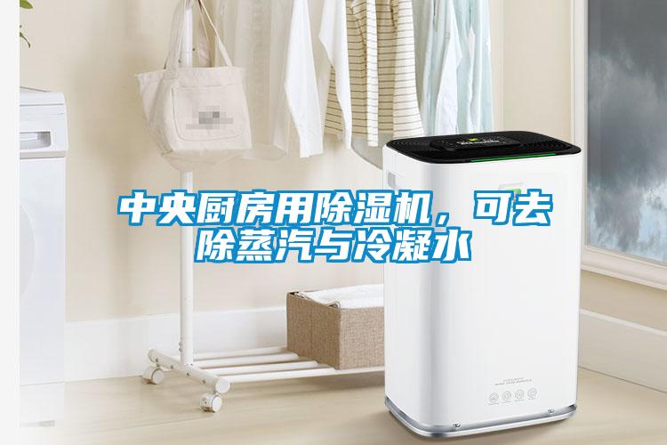 中央廚房用除濕機，可去除蒸汽與冷凝水
