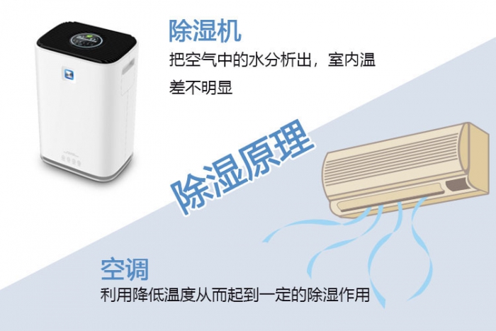 使用除濕機對于哮喘有什么幫助？