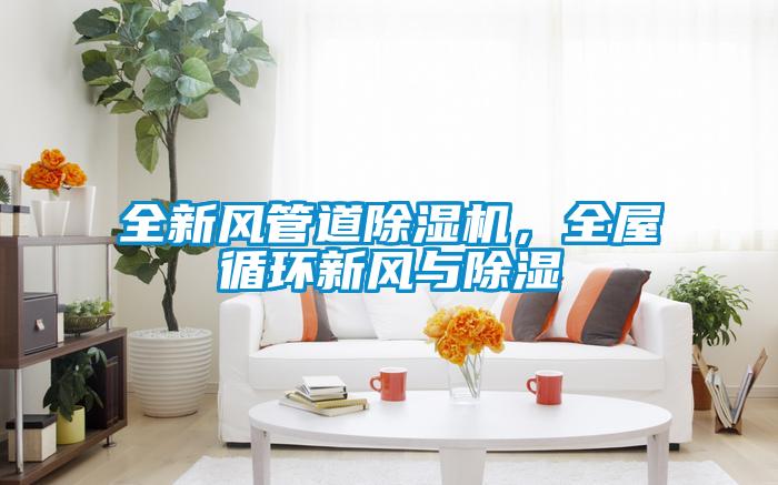 全新風(fēng)管道除濕機(jī),全屋循環(huán)新風(fēng)與除濕