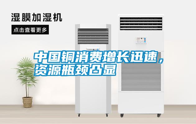中國銅消費增長迅速，資源瓶頸凸顯