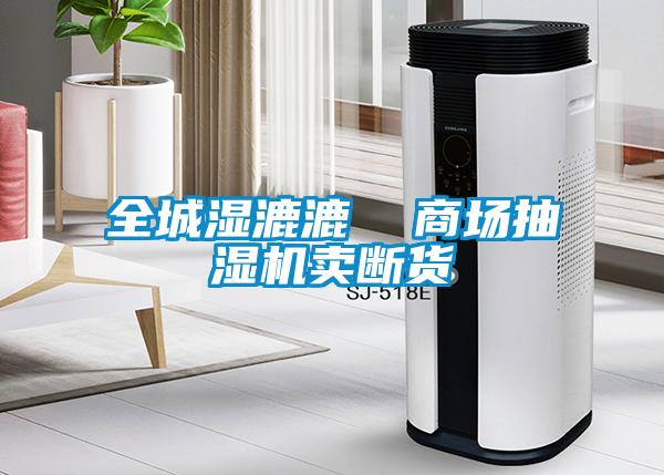 全城濕漉漉 商場抽濕機賣斷貨