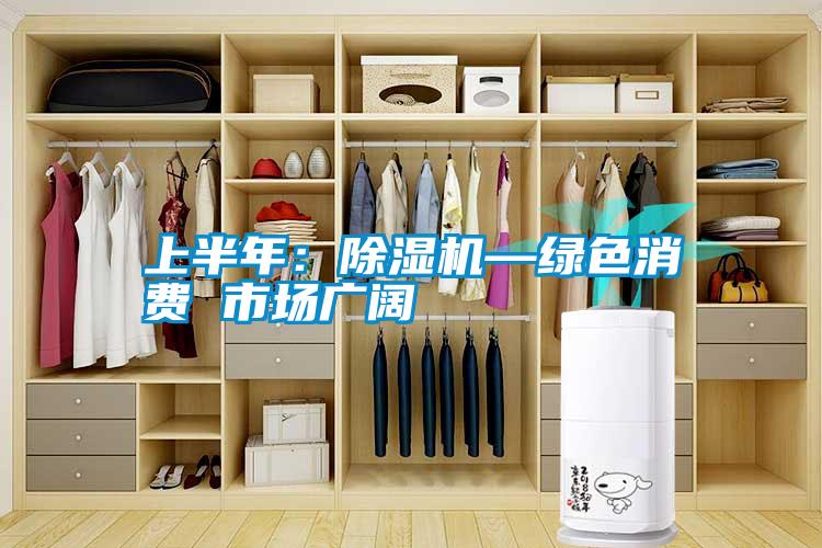 上半年:除濕機—綠色消費 市場廣闊