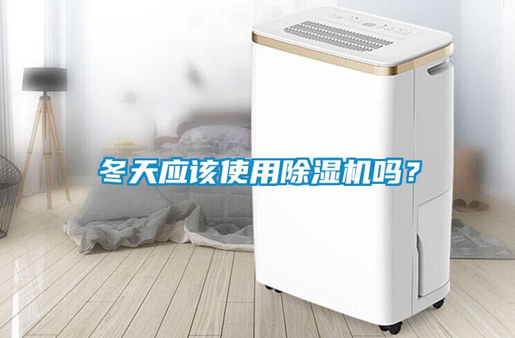 冬天應該使用除濕機嗎？