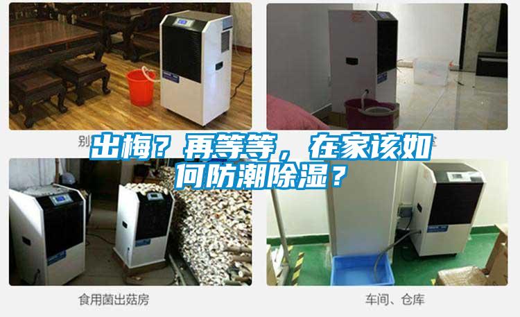 出梅?再等等,在家該如何防潮除濕?