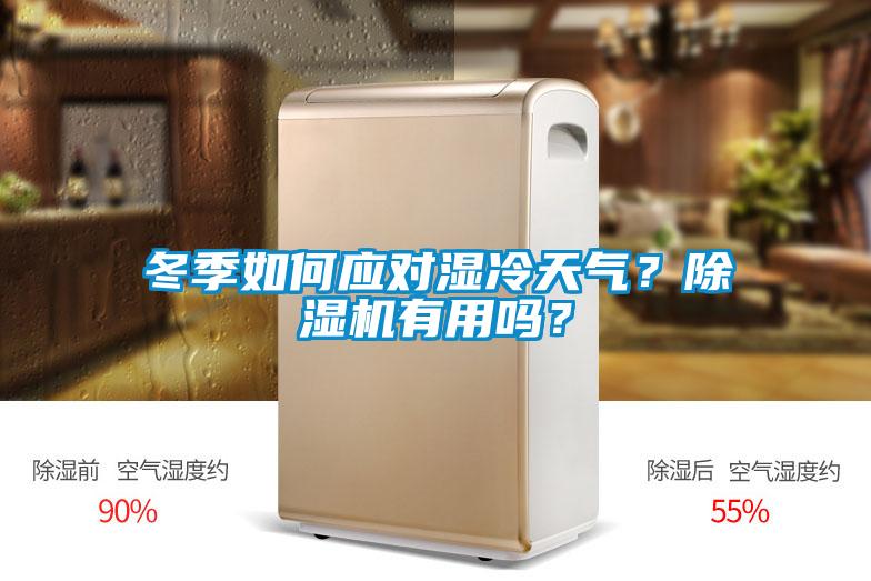 冬季如何應對濕冷天氣？除濕機有用嗎？