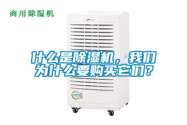 什么是除濕機，我們?yōu)槭裁匆徺I它們？