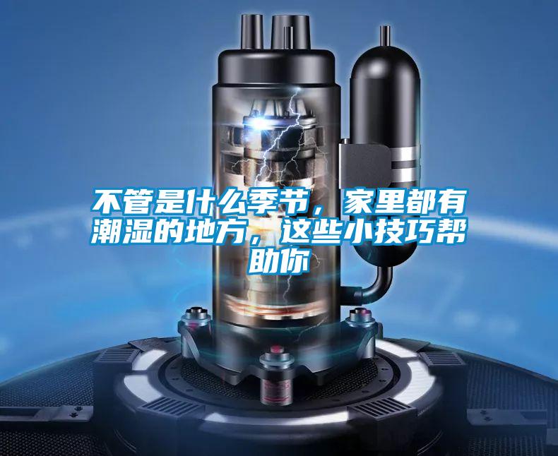 不管是什么季節，家里都有潮濕的地方，這些小技巧幫助你