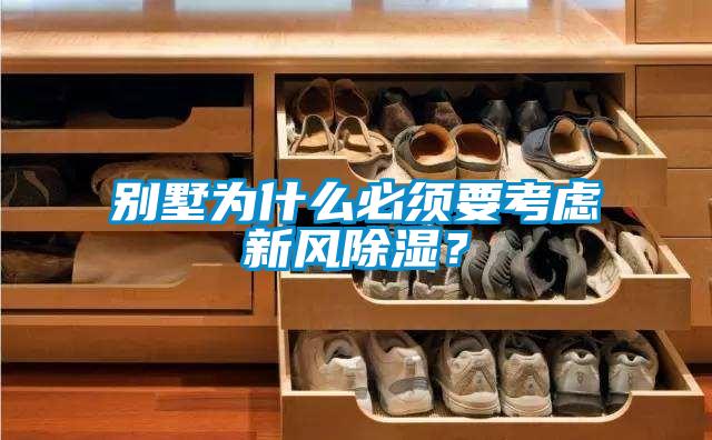 別墅為什么必須要考慮新風(fēng)除濕？