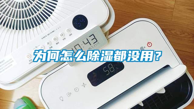 為何怎么除濕都沒用？