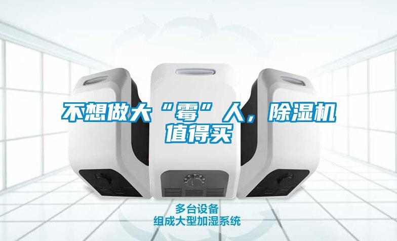 不想做大“霉”人，除濕機值得買