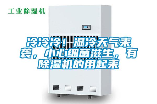 冷冷冷！濕冷天氣來襲，小心細菌滋生，有除濕機的用起來