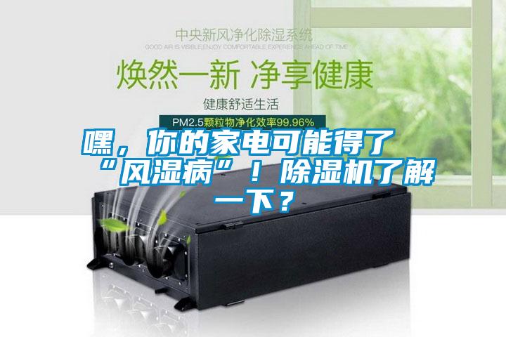 嘿，你的家電可能得了“風(fēng)濕病”！除濕機(jī)了解一下？