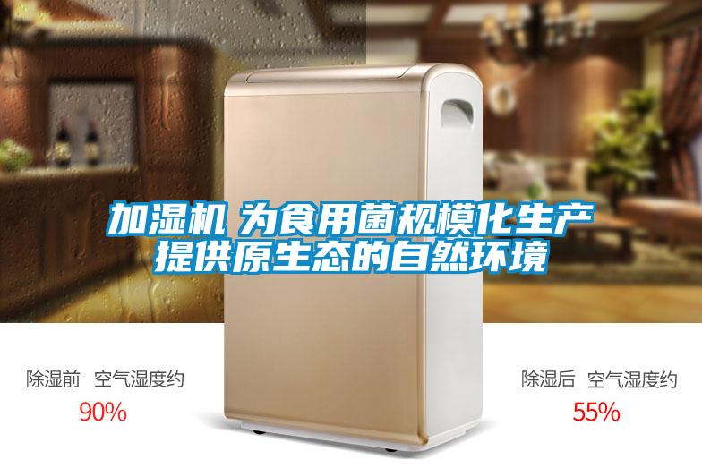 加濕機 為食用菌規模化生產提供原生態的自然環境