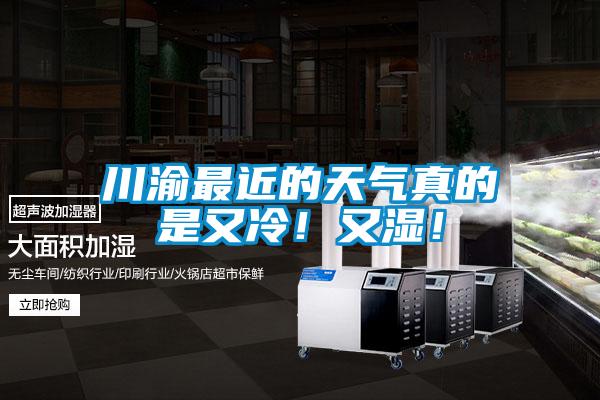 川渝最近的天氣真的是又冷！又濕！