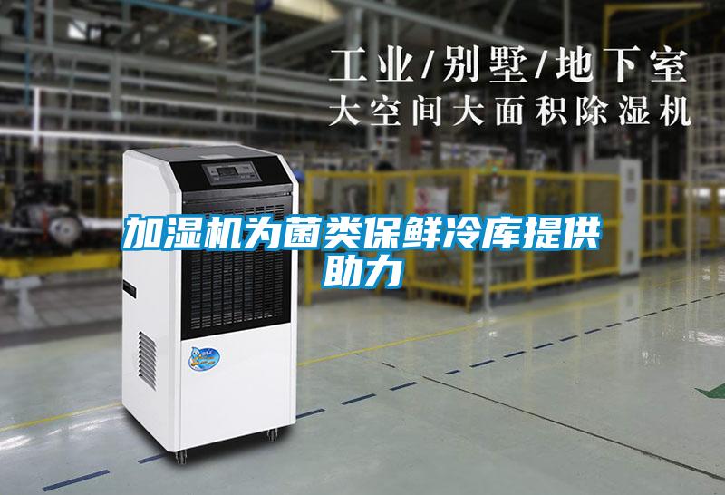 加濕機為菌類保鮮冷庫提供助力