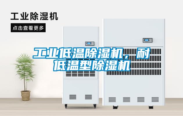 工業低溫除濕機，耐低溫型除濕機
