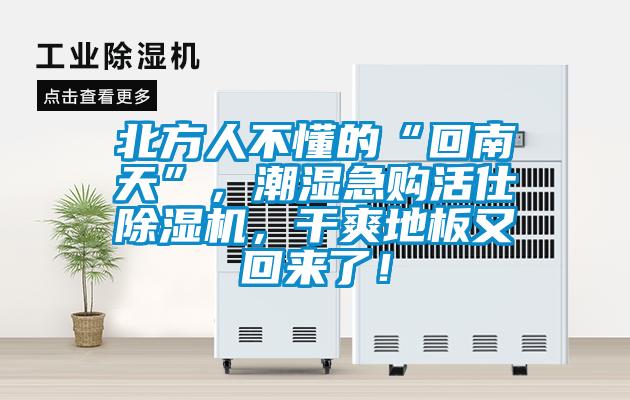北方人不懂的“回南天”，潮濕急購(gòu)活仕除濕機(jī)，干爽地板又回來(lái)了！