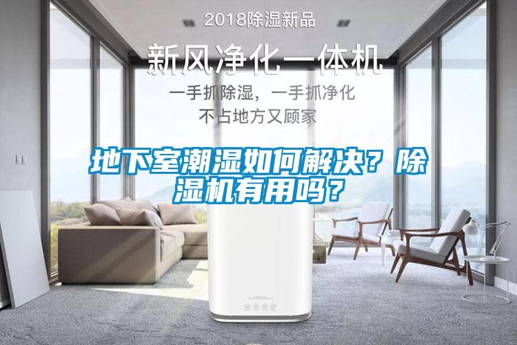 地下室潮濕如何解決？除濕機有用嗎？