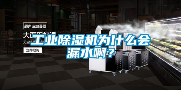 工業除濕機為什么會漏水啊？