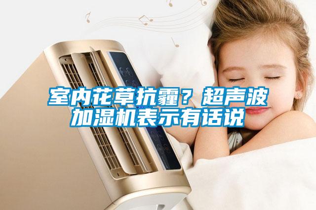 室內花草抗霾？超聲波加濕機表示有話說