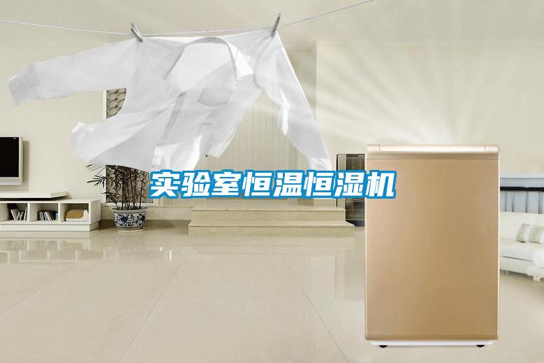 實驗室恒溫恒濕機
