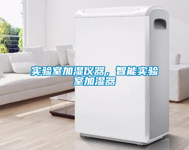 實驗室加濕儀器，智能實驗室加濕器