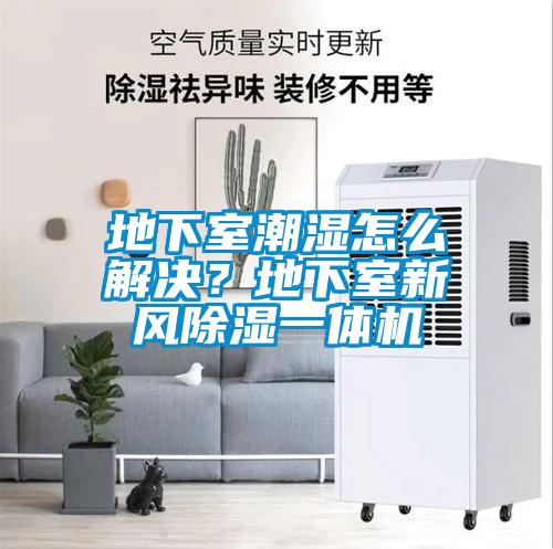 地下室潮濕怎么解決？地下室新風除濕一體機