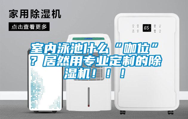 室內(nèi)泳池什么“咖位”？居然用專業(yè)定制的除濕機(jī)?。。?/></p>
						    <p style=