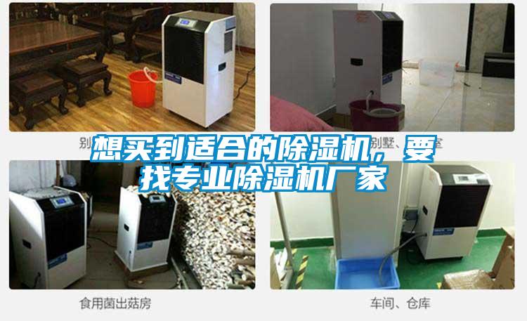 想買到適合的除濕機，要找專業(yè)除濕機廠家