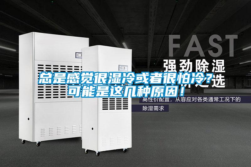 總是感覺很濕冷或者很怕冷？可能是這幾種原因！