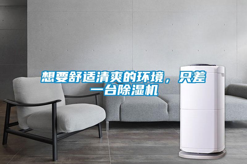 想要舒適清爽的環(huán)境，只差一臺除濕機