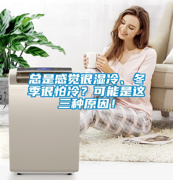 總是感覺很濕冷、冬季很怕冷？可能是這三種原因！