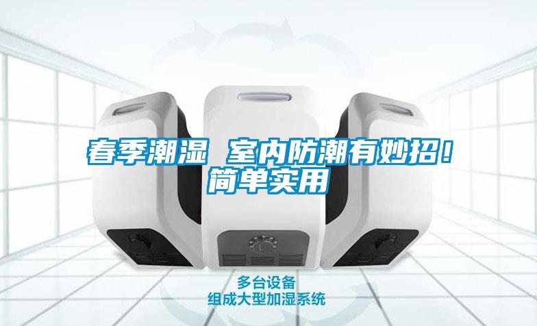 春季潮濕 室內(nèi)防潮有妙招！簡單實(shí)用