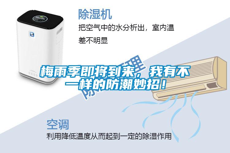 梅雨季即將到來,我有不一樣的防潮妙招!