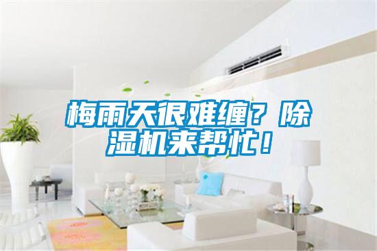 梅雨天很難纏？除濕機來幫忙！