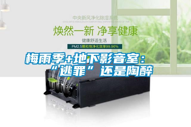 梅雨季+地下影音室:“逃罪”還是陶醉