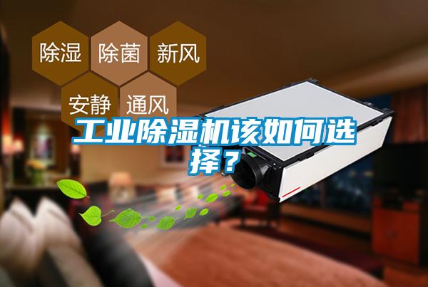工業除濕機該如何選擇？