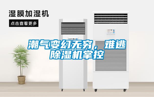 巧用車間除濕機,解決食品廠車間蒸汽問題