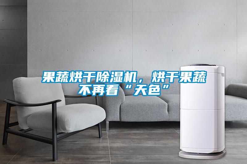 果蔬烘干除濕機，烘干果蔬不再看“天色”