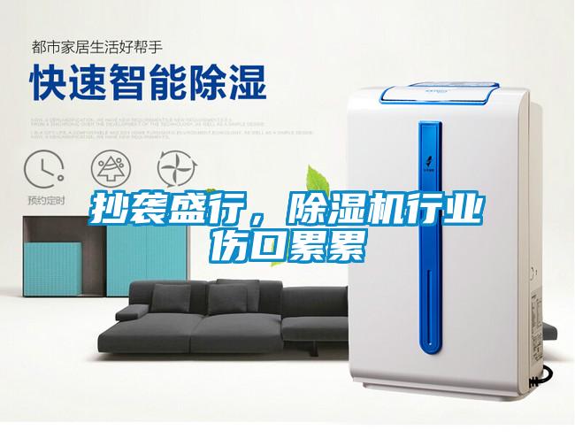 抄襲盛行,除濕機(jī)行業(yè)傷口累累