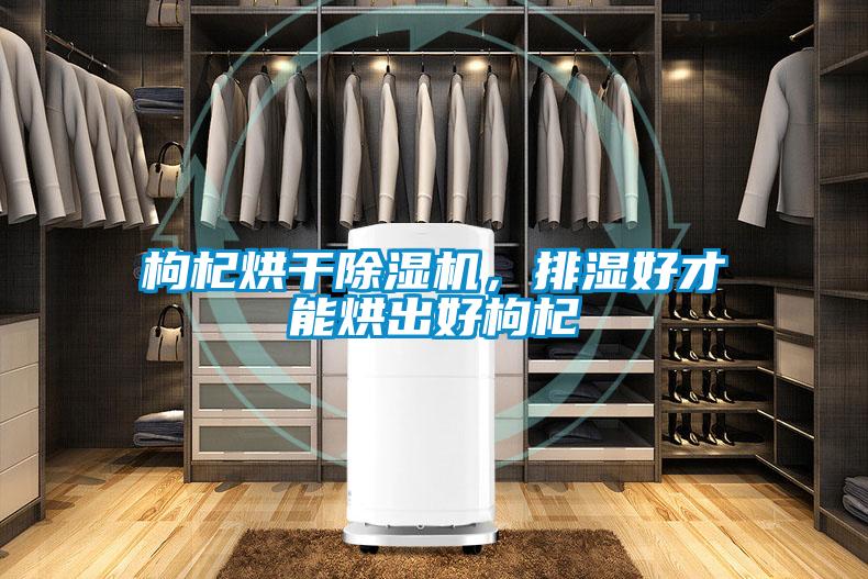 枸杞烘干除濕機，排濕好才能烘出好枸杞