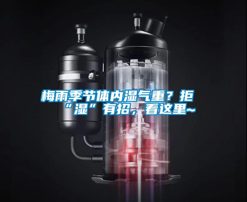 梅雨季節(jié)體內(nèi)濕氣重？拒“濕”有招，看這里~