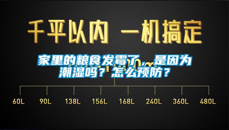 家里的糧食發霉了，是因為潮濕嗎？怎么預防？