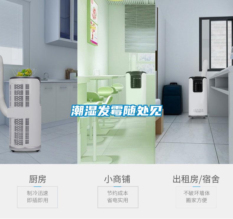 干貨倉庫怎么利用除濕機保持干爽？