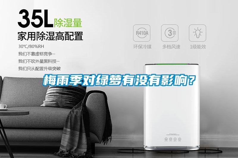梅雨季對綠蘿有沒有影響?