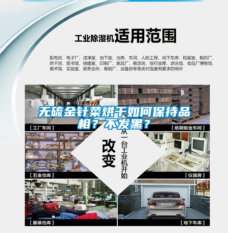無硫金針菜烘干如何保持品相？不發(fā)黑？