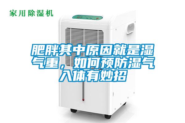 肥胖其中原因就是濕氣重，如何預(yù)防濕氣入體有妙招